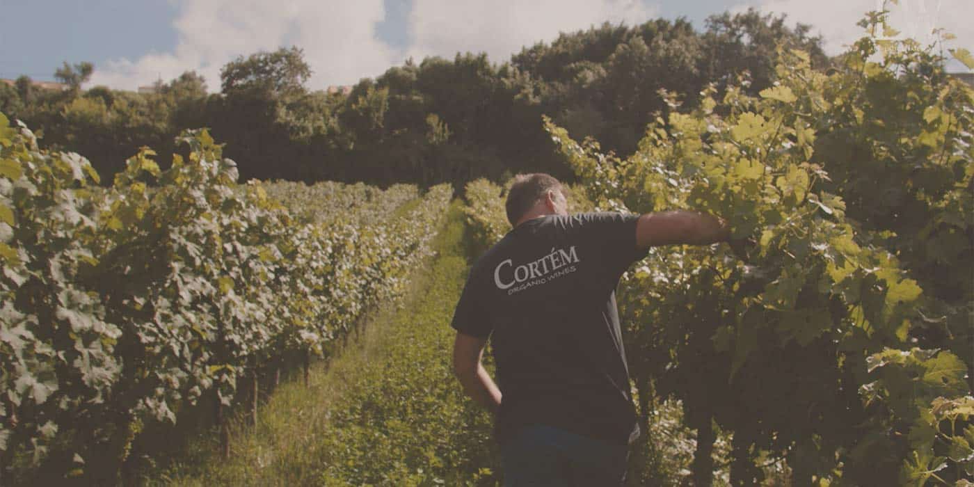 cortem wine team