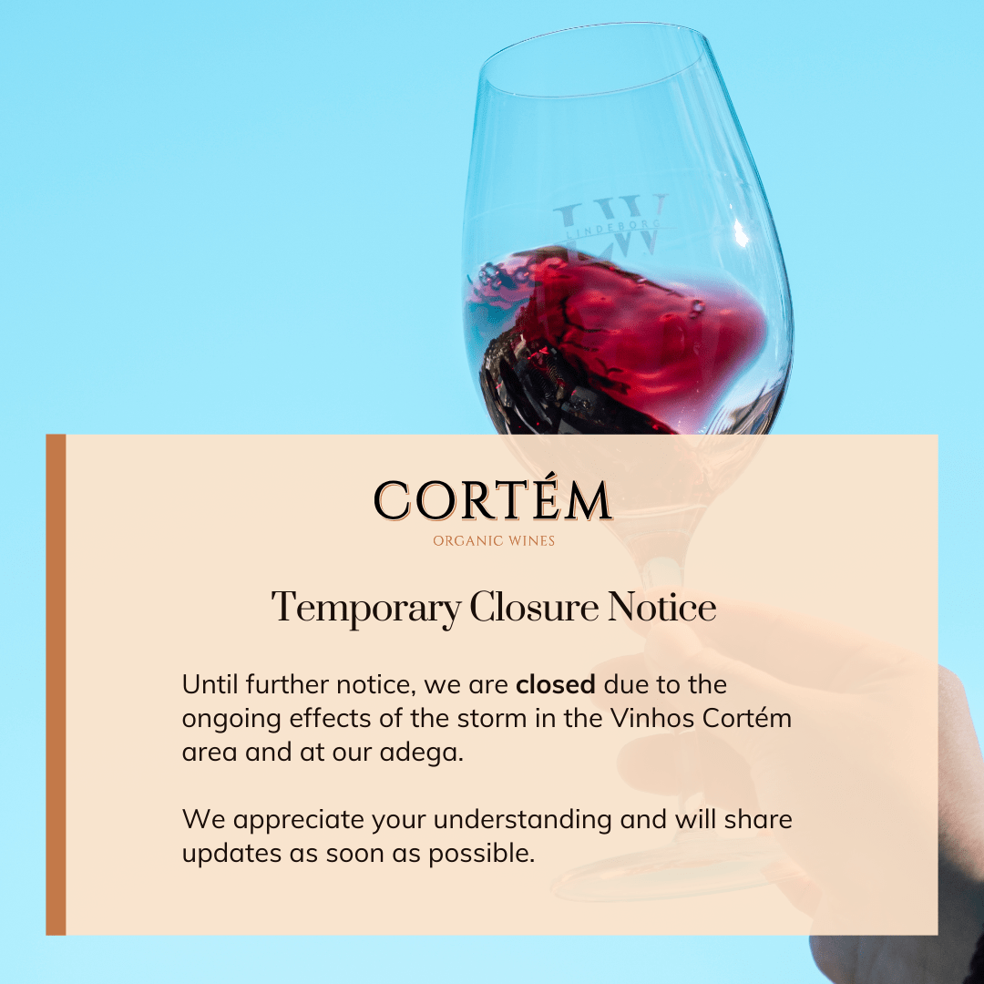 feb 2026 closed storms